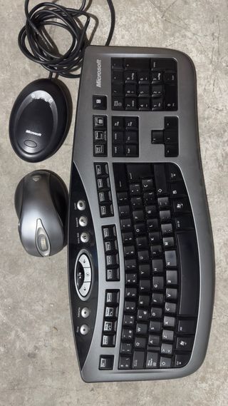 Teclado y Ratón Microsoft Retro Gris/Negro