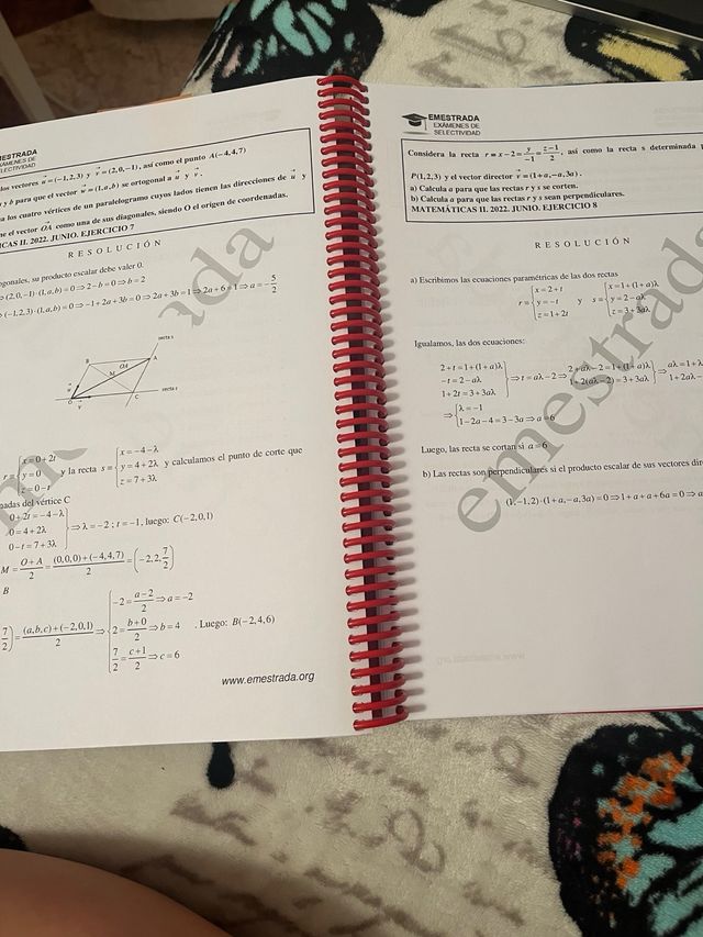 Ejercicios Emestrada Mates II desde 2010hasta 2024