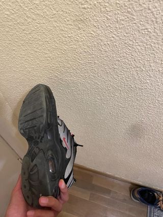 Zapatillas Nike Air Max Plus TN SE