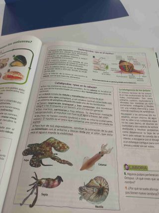Biología y Geología 1ºESO - 9788469633151