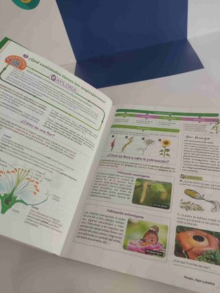 Biología y Geología 1ºESO - 9788469633151