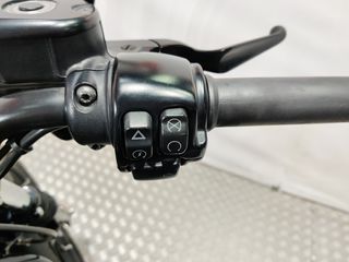 Harley-Davidson SPORTSTER IRON 883