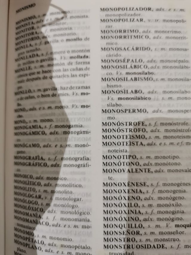 Diccionario Galego-castelan/castelan-galego