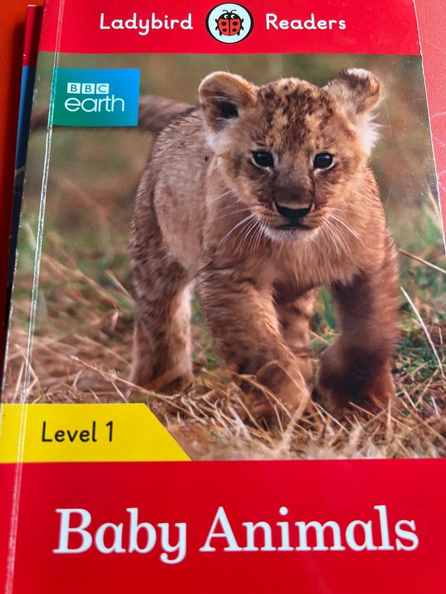 libro inglés para infantil