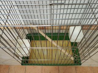 Jaula para loros 