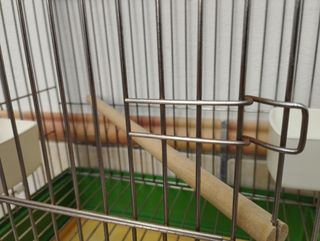 Jaula para loros 
