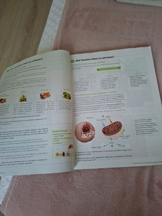 Biología y Geología. 3 Secundaria. Revuela