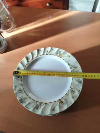 Platos llanos de plástico beige y blanco