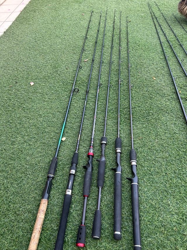 Lote cañas de un tramo pesca Black Bass 60€ unidad