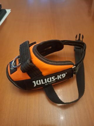 Arnés Julius K9 Naranja y Negro perro pequeño