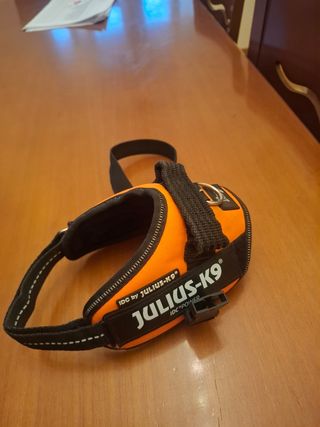 Arnés Julius K9 Naranja y Negro perro pequeño