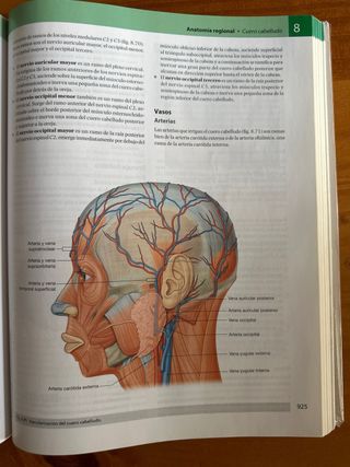 Gray. Anatomía para estudiantes tercera edición 