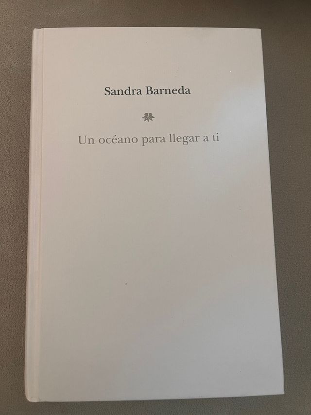 Un océano para llegar a ti