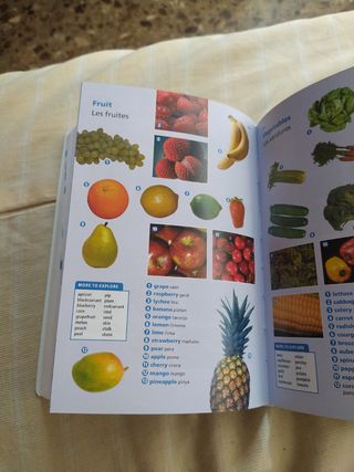 Diccionari Oxford Pocket Català per a estudiants d'angles. català-anglès/anglès-català