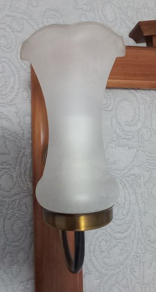 Marco de madera con tulipas de cristal