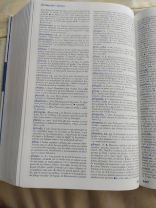 DICCIONARIO DEL ESTUDIANTE (Spanish Edition)