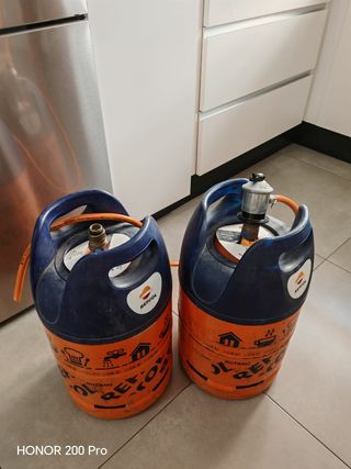Calentador Gas Butano Saunier Duval Opalia