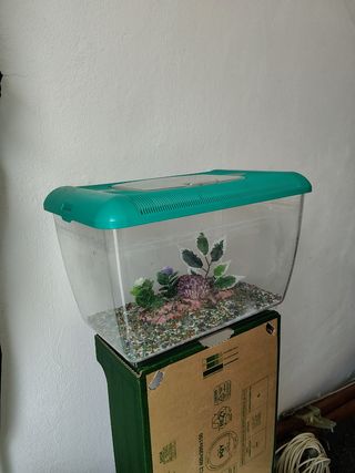 Acquario per pesci o tartarughe