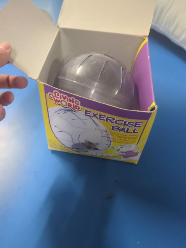 Bola para hamster