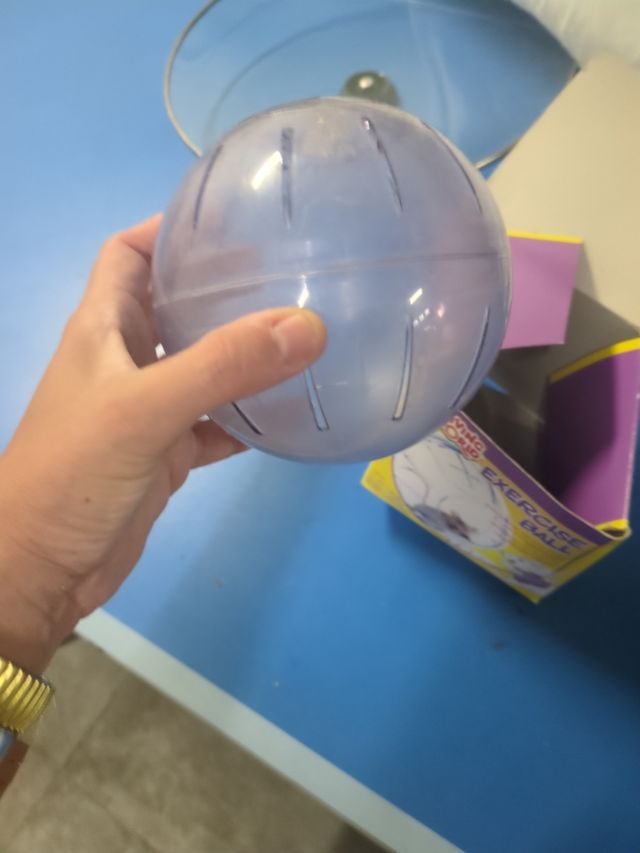 Bola para hamster