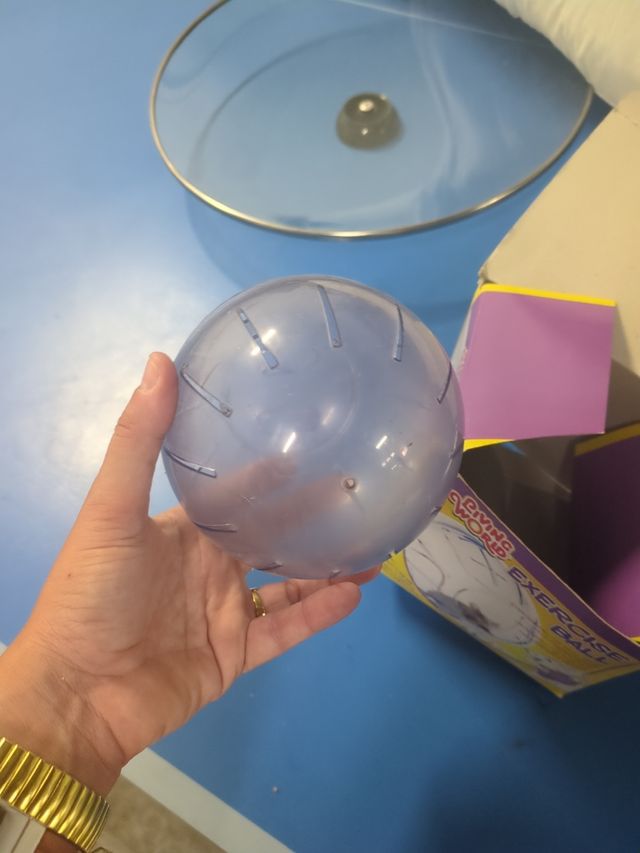 Bola para hamster