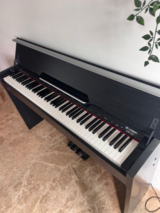 Piano Digital Thomann DP-33 (precio negociable)