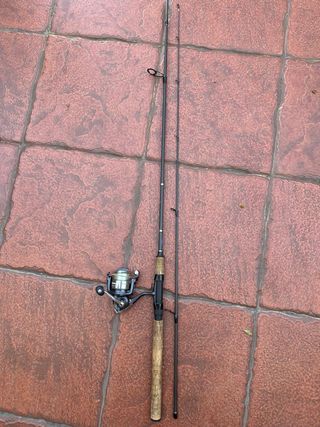Caña de Spinning Lineaeffe