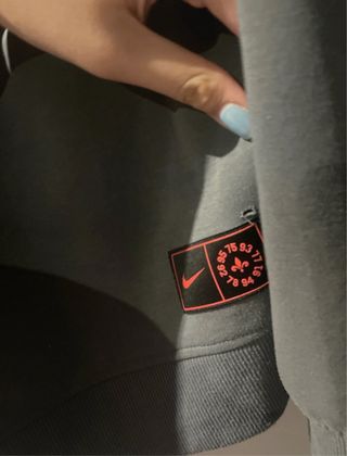 Sudadera Nike PSG Gris

