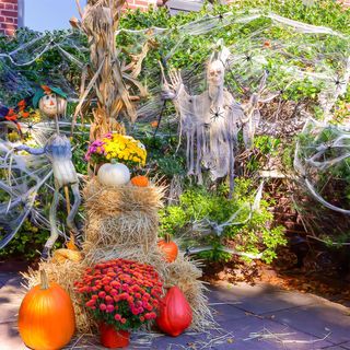 Telaraña Halloween 28m2 + 30 Arañas Decoración