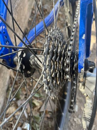 Bicicleta Orbea Team