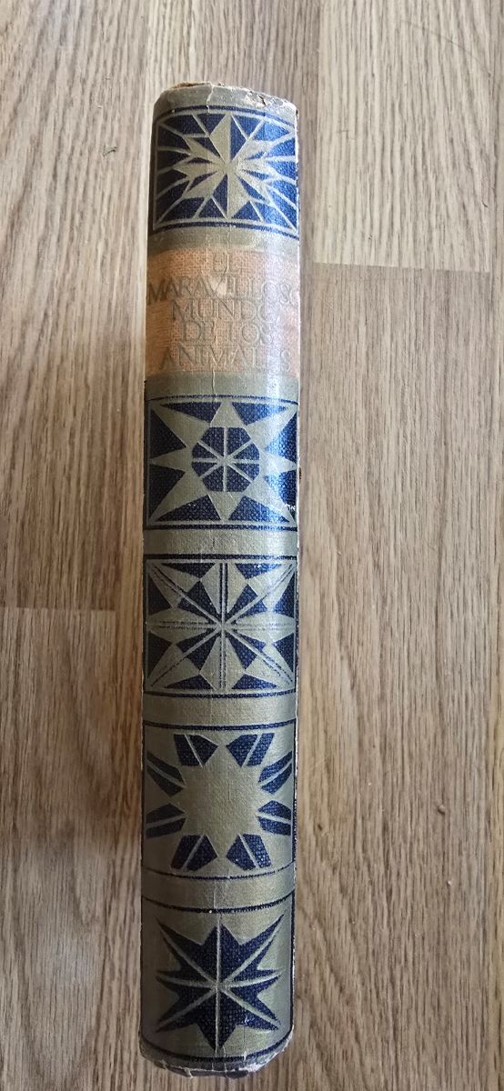 El maravilloso mundo de los animales