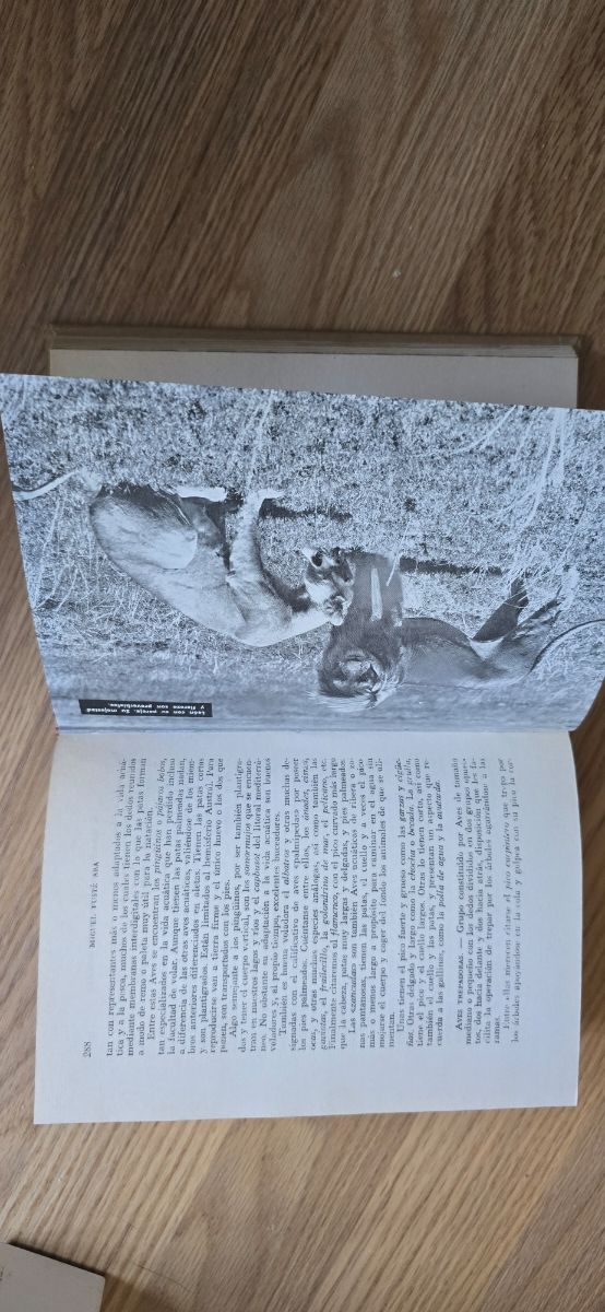 El maravilloso mundo de los animales