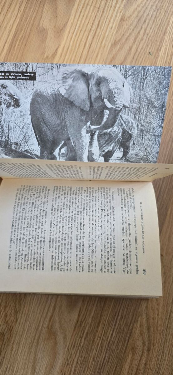 El maravilloso mundo de los animales