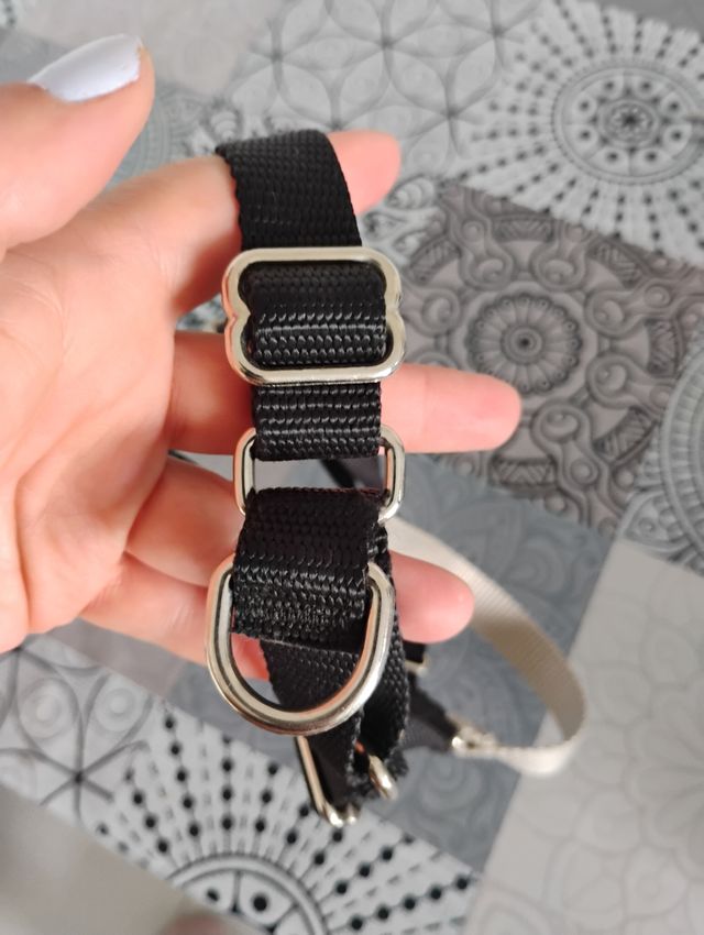 Arnés para perro talla M