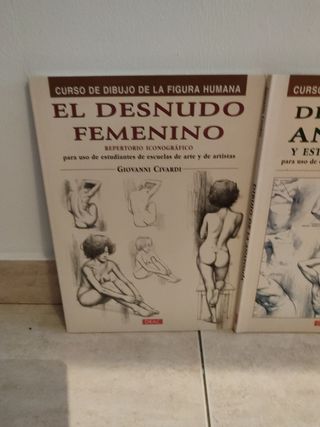 EL DESNUDO FEMENINO. EL DESNUDO MASCULINO.DIBUJO D