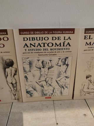 EL DESNUDO FEMENINO. EL DESNUDO MASCULINO.DIBUJO D