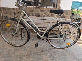 Bicicleta Holandesa Eroba