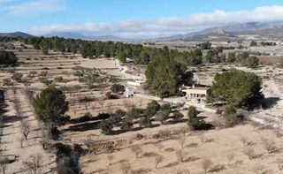 Colaborador autónomo para inmuebles