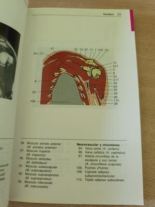 Anatomia Por Tcy Rm (Spanish Edition)