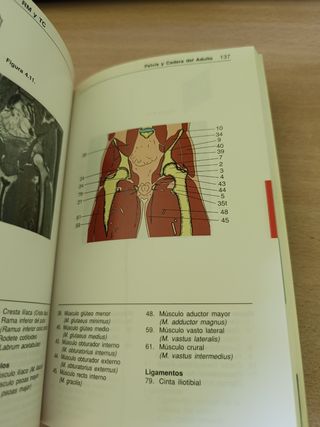 Anatomia Por Tcy Rm (Spanish Edition)