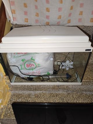 Pecera 20L con accesorios