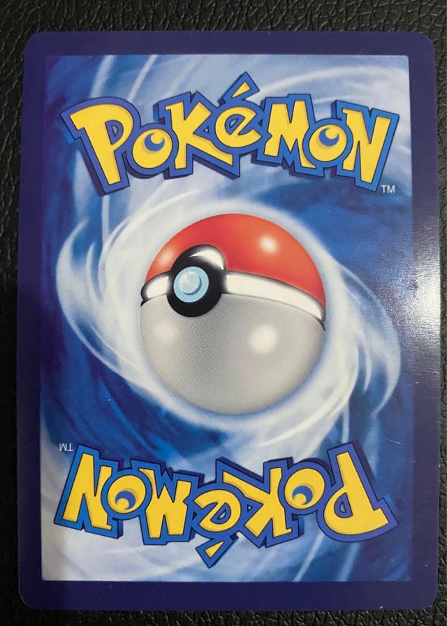 Squirtle con Cappello Grigio Carta Fan Art