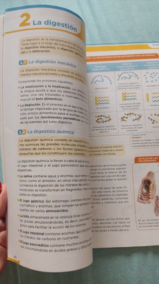 Libros de Biología y Geología 3°ESO