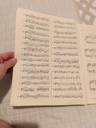 Mazurcas de Chopin - Edición Peters Nº 1902