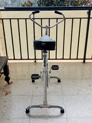 Bicicleta Estática BH Antigua