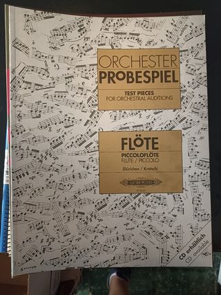 Orchester Probespiel Flauta y Piccolo