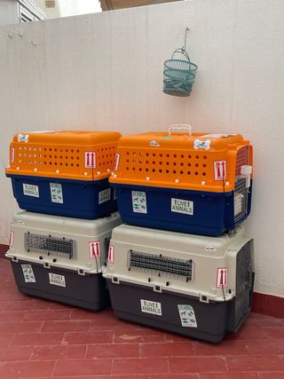 Transportines para animales para avión