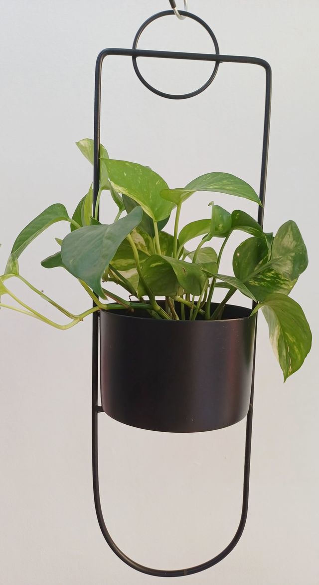 Fioriera sospesa in metallo nero