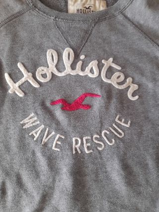Sudadera Hollister Gris