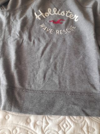 Sudadera Hollister Gris